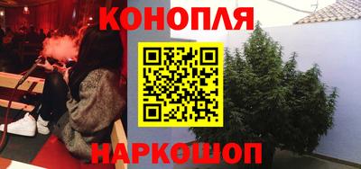прущие грибы Тула