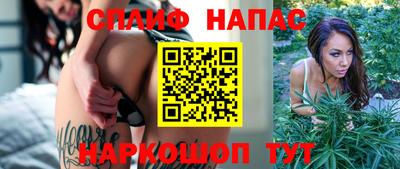 прущие грибы Тула
