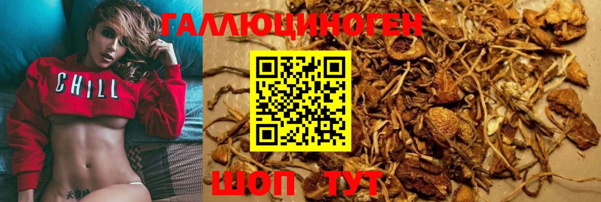 Галлюциногенные грибы MAGIC MUSHROOMS Астрахань