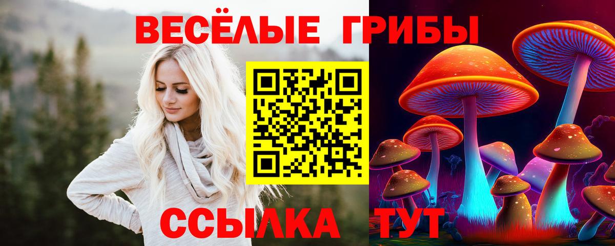 Псилоцибиновые грибы Psilocybine cubensis  Псилоцибиновые грибы Cubensis  Вход с VPN  Астрахань 